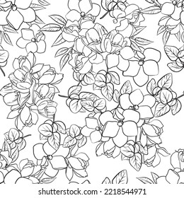 Resumen de patrón sin fisuras con plantas, hierbas y flores, ilustración botánica.
