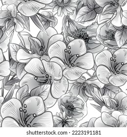 Resumen de patrón sin fisuras con plantas, hierbas y flores, ilustración botánica.