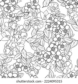 Resumen de patrón sin fisuras con plantas, hierbas y flores, ilustración botánica.
