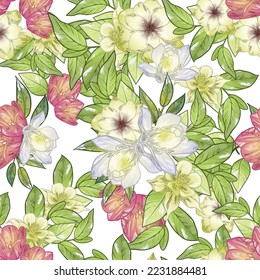 Abstract seamless pattern with plants, herbs and flowers, botanical illustration.