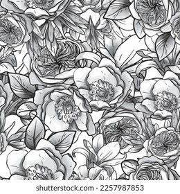 Abstract seamless pattern with plants, herbs and flowers, botanical illustration.