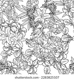Abstract seamless pattern with plants, herbs and flowers, botanical illustration.