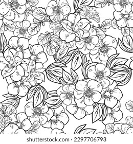 Abstract seamless pattern with plants, herbs and flowers, botanical illustration.