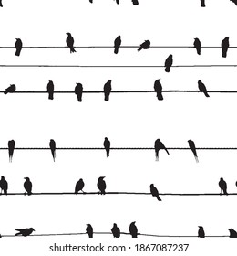 Abstract seamless pattern. Silhouette birds on the wires. Vector illustration.