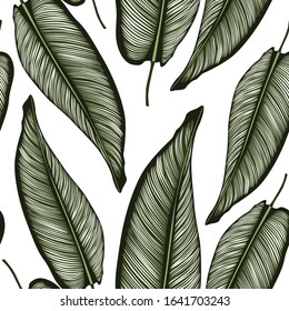 Abstract seamless tropical pattern with bright colorful leaves on white background. Seamless exotic pattern with tropical plants. Exotic wallpaper. Trendy summer Hawaii print.