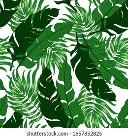 Abstract seamless tropical pattern with bright plants and leaves on a white background.Vector design. Jungle print. Floral background.  Summer colorful hawaiian seamless pattern with tropical plants.