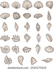 Abstract seashell doodle hand drawing illustration for decoration on beach life and marine life concept.