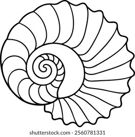 Abstract Seashell Spiral Vector Illustration Design