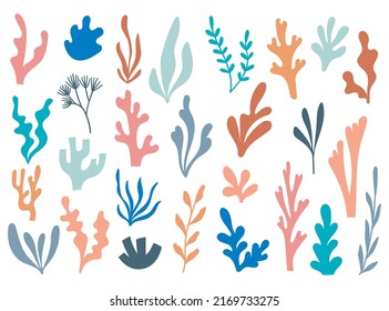 Abstract Seaweed Shape Aesthetic Element Vector Illustration