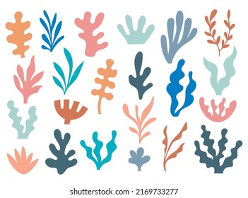 Abstract Seaweed Shape Aesthetic Element Vector Illustration