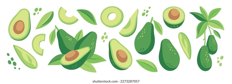 Abstract set with avocado. Whole avocado, halves of avocado, bones and leaves. Elements isolated on a white background. Healthy vegan food. Fruits in modern style. Vector abstract illustration.