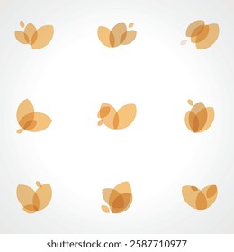 abstract set of colors minimalism floral pattern design icon symbol collection