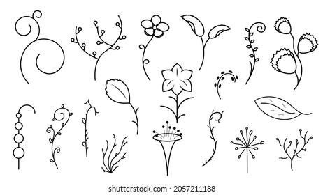 Abstract Set Doodle Elements Hand Drawn Collection Botanic Herbal Floral Leaf Branch Vine Flower Plant Elements Vector Desgin Style