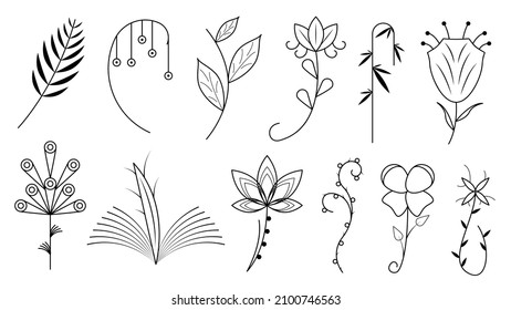 Abstract Set Doodle Elements Hand Drawn Collection Botanic Herbal Flora Leaf Branch Vine Flower Plant Elements F Vector Desgin Style
