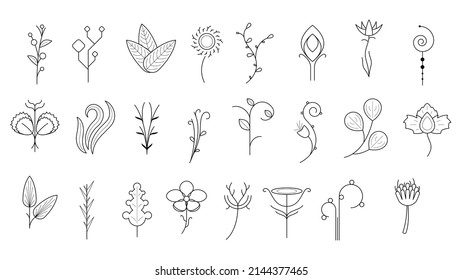 Abstract Set Doodle Elements Hand Drawn Collection Botanic Herbal Flora Leaf Branch Vine Flower Plant Elements F Vector Desgin Style