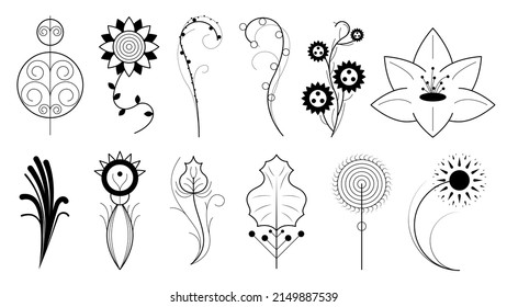 Abstract Set Doodle Elements Hand Drawn Collection Botanic Herbal Flora Leaf Branch Vine Flower Plant Elements F Vector Desgin Style
