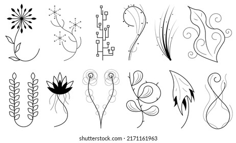 Abstract Set Doodle Elements Hand Drawn Collection Botanic Herbal Flora Leaf Branch Vine Flower Plant Elements F Vector Desgin Style