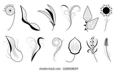 Abstract Set Doodle Elements Hand Drawn Collection Botanic Herbal Flora Leaf Branch Vine Flower Plant Elements Vector Desgin Style