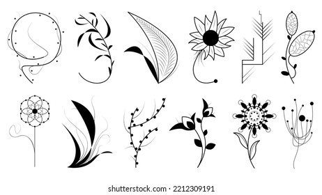 Abstract Set Doodle Elements Hand Drawn Collection Botanic Herbal Flora Leaf Branch Vine Flower Plant Elements Vector Desgin Style