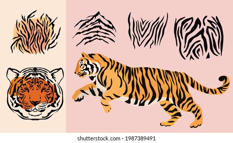 Abstract set elements  safari tiger animal prints. Face head tiger. Exotic wild animal skin. Safari print. Vector illustration.
