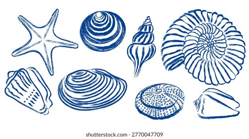 abstract set of shells, mussel, sea urchin and starfish. Vector illustration. Isolated on a white background. Mediterranean in Hand drawn Vintage Sketch Ocean Blue Background.
