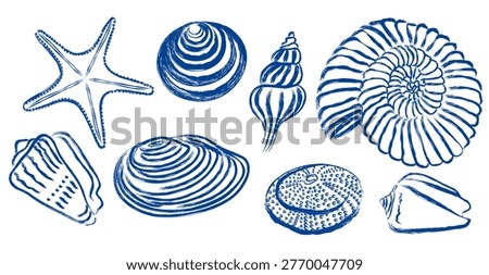 abstract set of shells, mussel, sea urchin and starfish. Vector illustration. Isolated on a white background. Mediterranean in Hand drawn Vintage Sketch Ocean Blue Background.