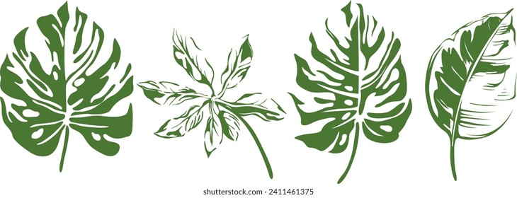 Abstract set of tropical leaves isolated on white background. Hand drawn illustration collection.