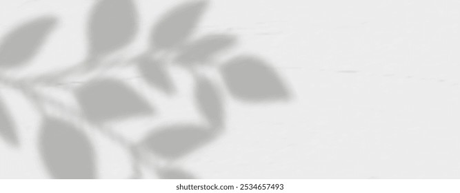 Sombra abstrata de folhas e ramos na parede de concreto branco.Sobreposição macia de luz natural.Tropical borrado leaf.Natural layout de luz.