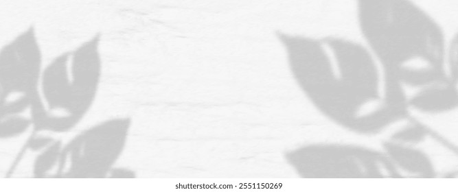 Abstract shadow of leaves and branches on white concrete wall.Soft overlay of natural light.Tropical blurred leaf.Natural light layout.