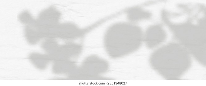 Abstract shadow of leaves and branches on white concrete wall.Soft overlay of natural light.Tropical blurred leaf.Natural light layout.