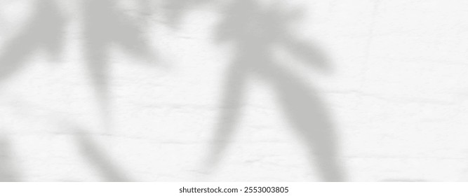 Abstract shadow of leaves and branches on white concrete wall.Soft overlay of natural light.Tropical blurred leaf.Natural light layout.
