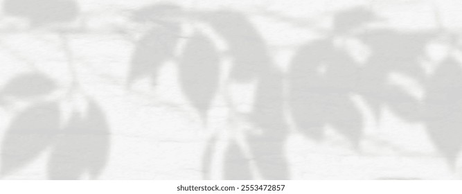 Abstract shadow of leaves and branches on white concrete wall.Soft overlay of natural light.Tropical blurred leaf.Natural light layout.