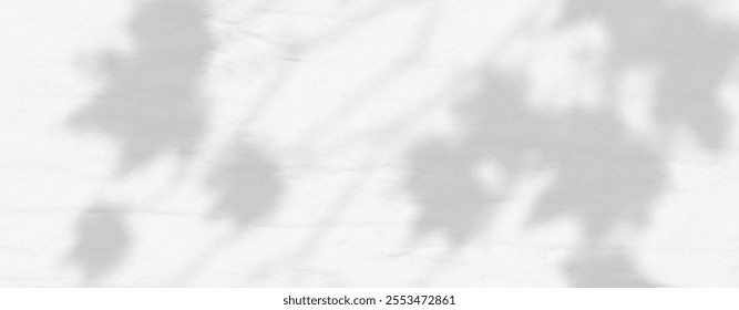 Abstract shadow of leaves and branches on white concrete wall.Soft overlay of natural light.Tropical blurred leaf.Natural light layout.
