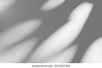 Abstract shadow overlay dappled light on a transparent background.