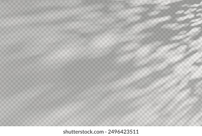 Abstract shadow overlay from foliage on a transparent background.