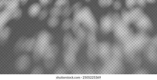 Abstract shadow overlay from foliage on a transparent background.