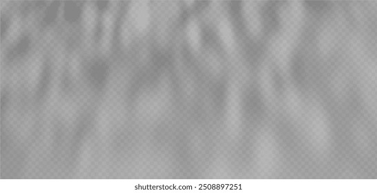 Abstractas sombra superpuesta de follaje sobre un fondo transparente.