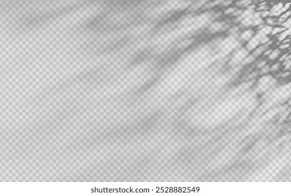 Abstract shadow overlay from foliage on a transparent background.