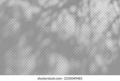 Sobreposição de sombra abstrata da folhagem em um fundo transparente.