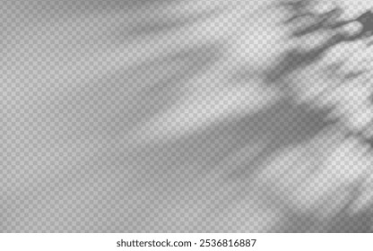 Abstract shadow overlay from foliage on a transparent background.