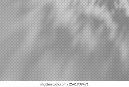 Abstract shadow overlay from foliage on a transparent background.