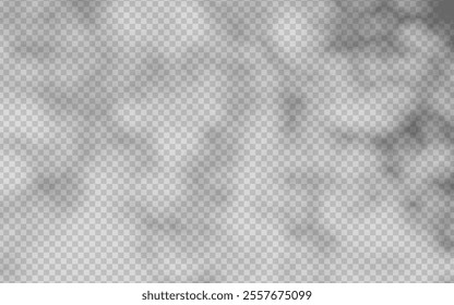 Abstract shadow overlay from foliage on a transparent background.