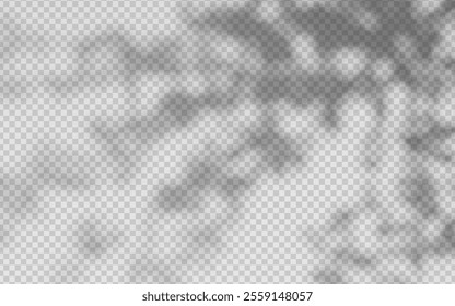 Abstract shadow overlay from foliage on a transparent background.