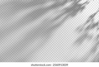 Abstract shadow overlay from foliage on a transparent background.