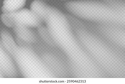 Abstract shadow overlay from foliage on a transparent background.