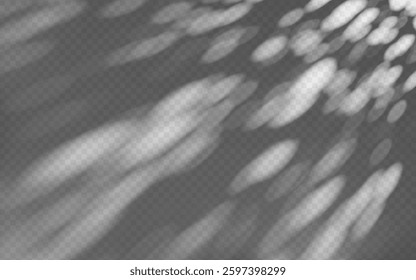 Abstract shadow overlay from foliage on a transparent background.