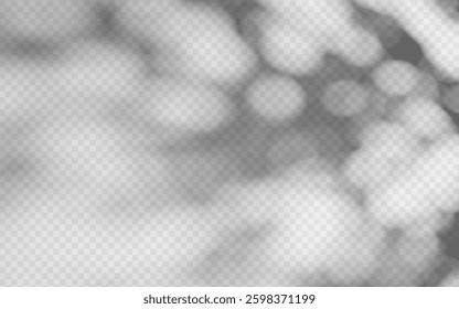 Abstract shadow overlay from foliage on a transparent background.