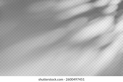 Abstract shadow overlay from foliage on a transparent background.