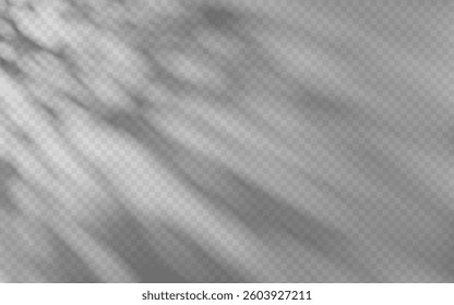 Abstract shadow overlay from foliage on a transparent background.