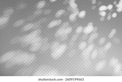 Abstract shadow overlay from foliage on a transparent background.